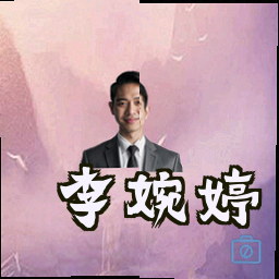 李婉婷